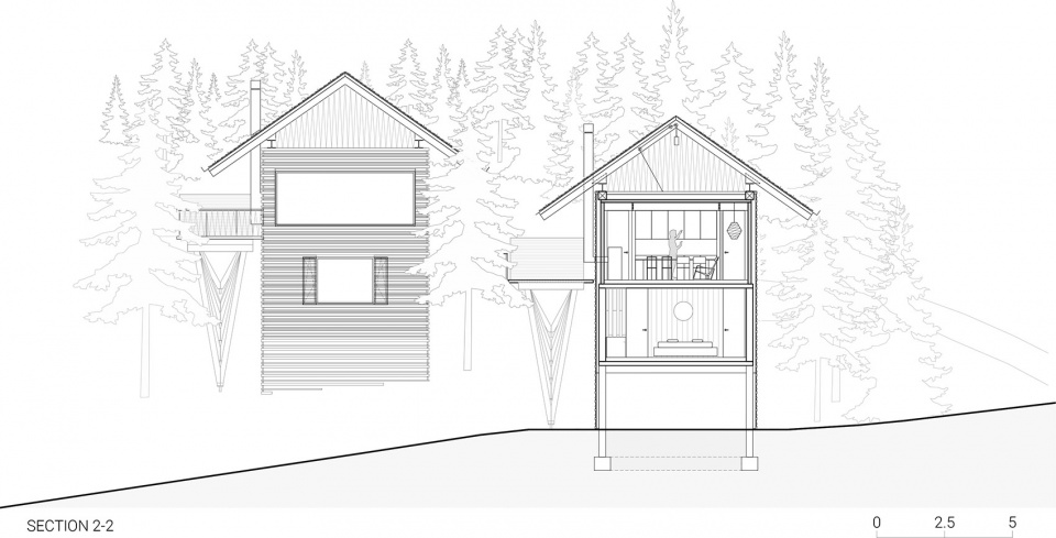 TWIN ALPINE HOUSES