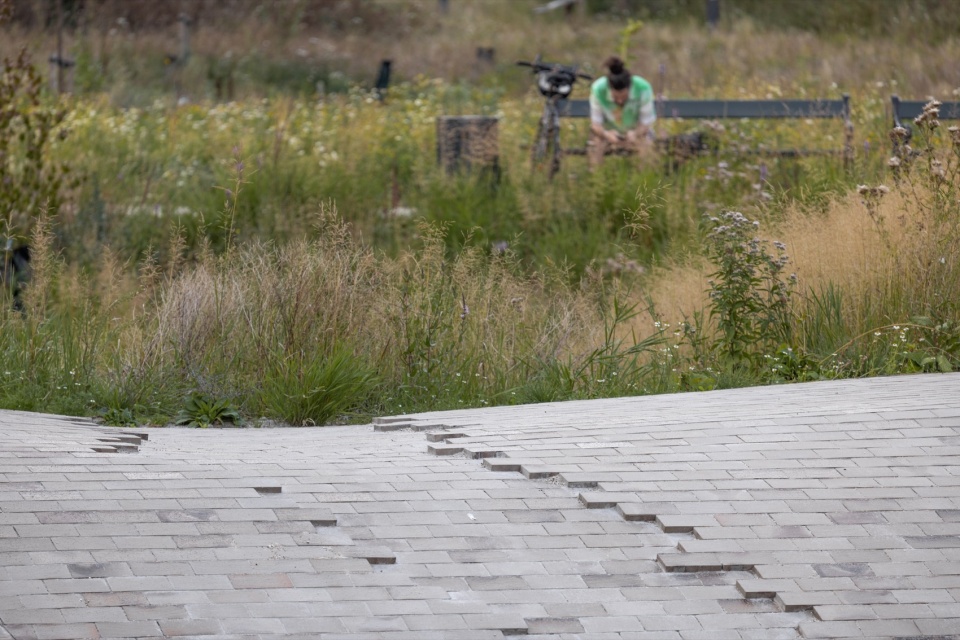 Gronningen Bispeparken by SLA