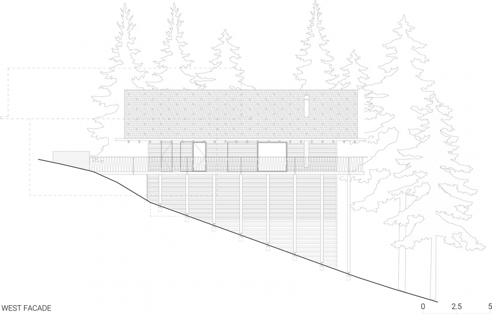 TWIN ALPINE HOUSES