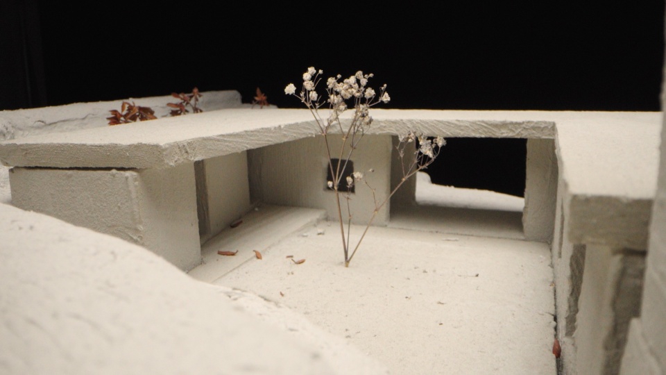 narrow house by studio lorenzo guzzini