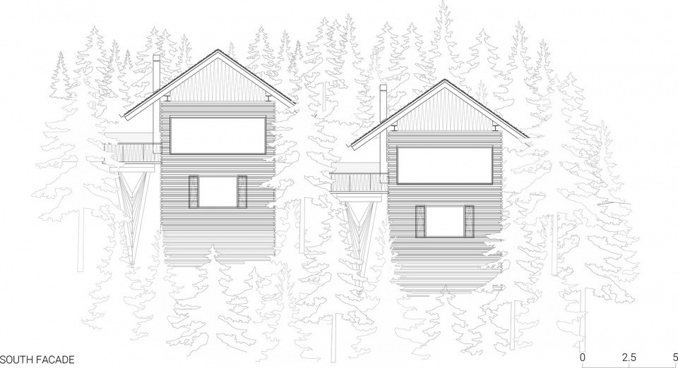 TWIN ALPINE HOUSES