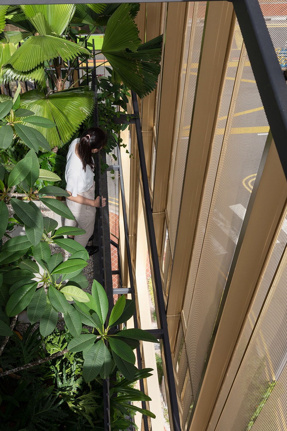 garden curtain wall by formwerkz architects