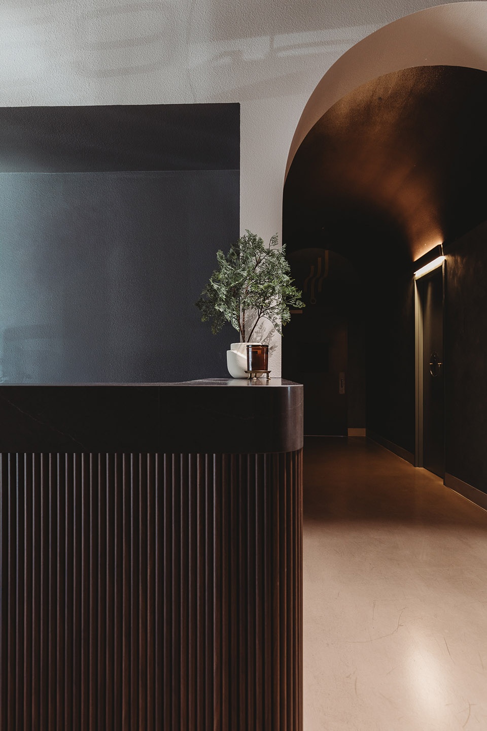 setthetone project by dezirae bruni interiors