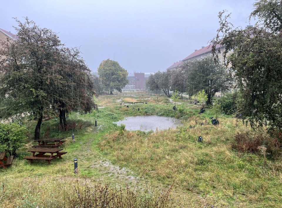 Gronningen Bispeparken by SLA