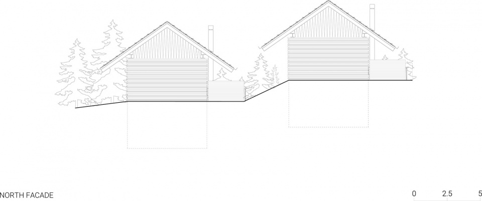 TWIN ALPINE HOUSES