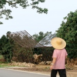 枯木寮，惠州 / 广州向内建筑工作室