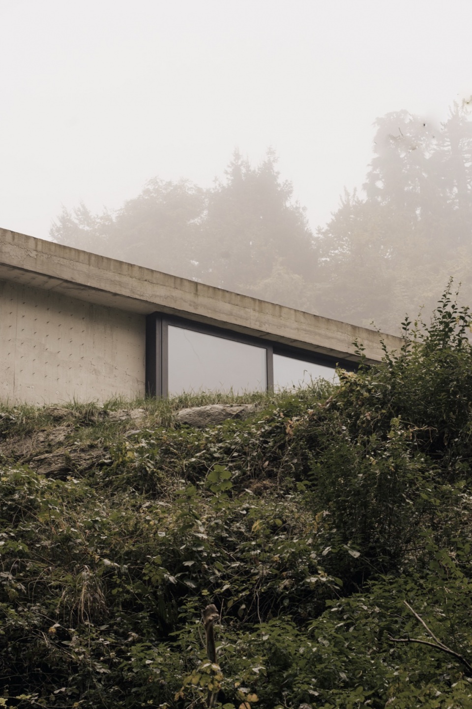 narrow house by studio lorenzo guzzini