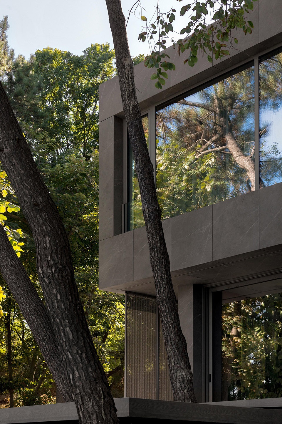 pine house by starh