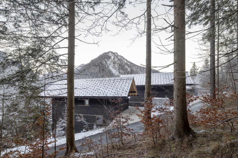 TWIN ALPINE HOUSES