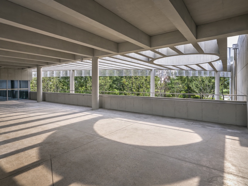 care and wellness center for the elderly and people with disabilities by sol89 woodrock architecs