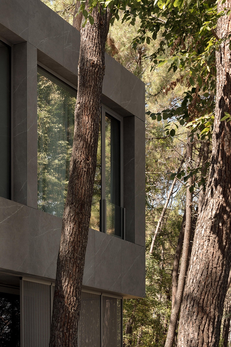 pine house by starh