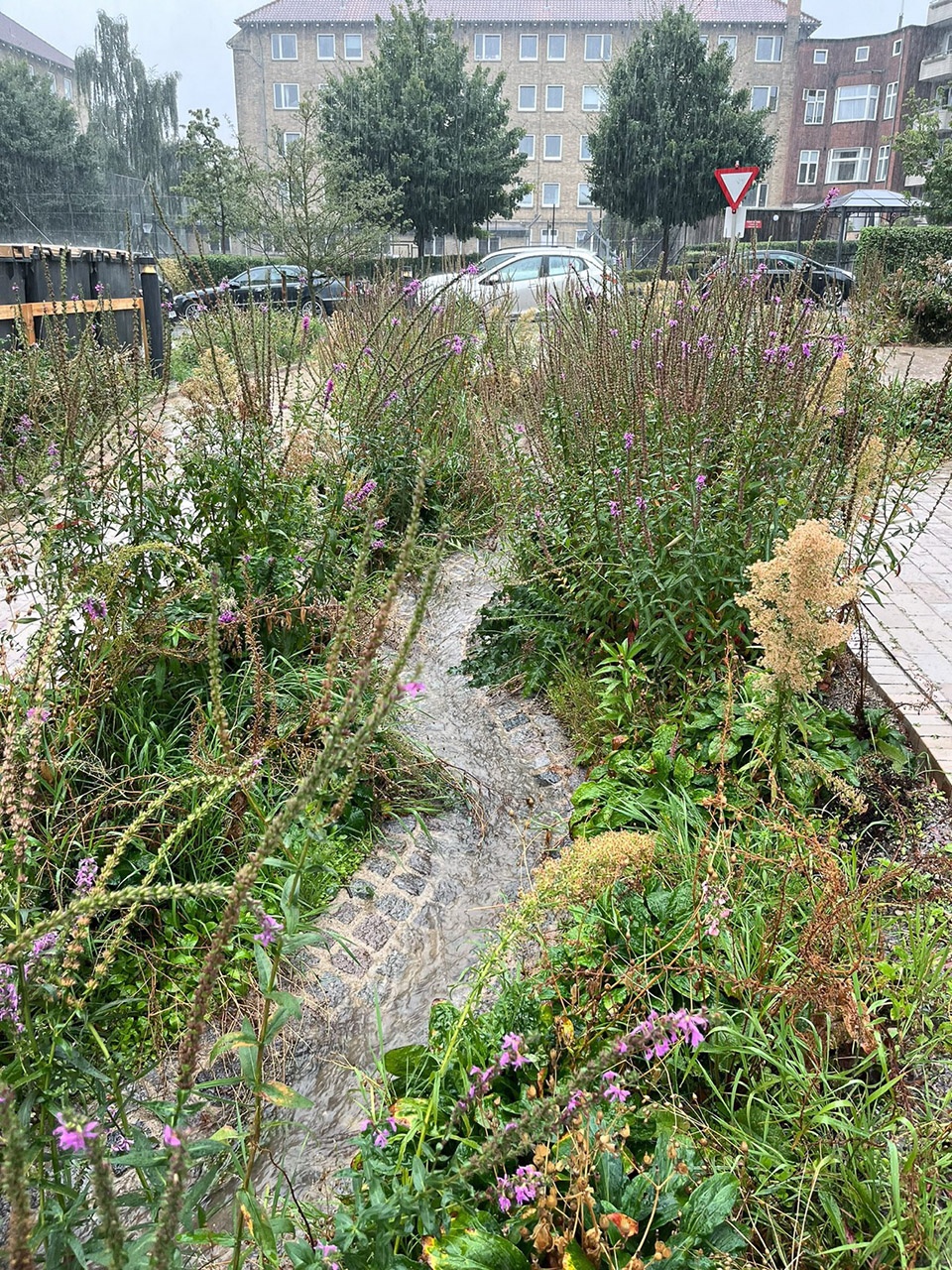 Gronningen Bispeparken by SLA