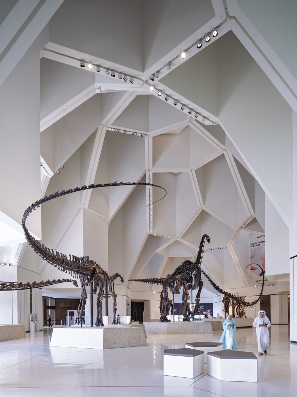 Natural History Museum Abu Dhabi by Mecanoo