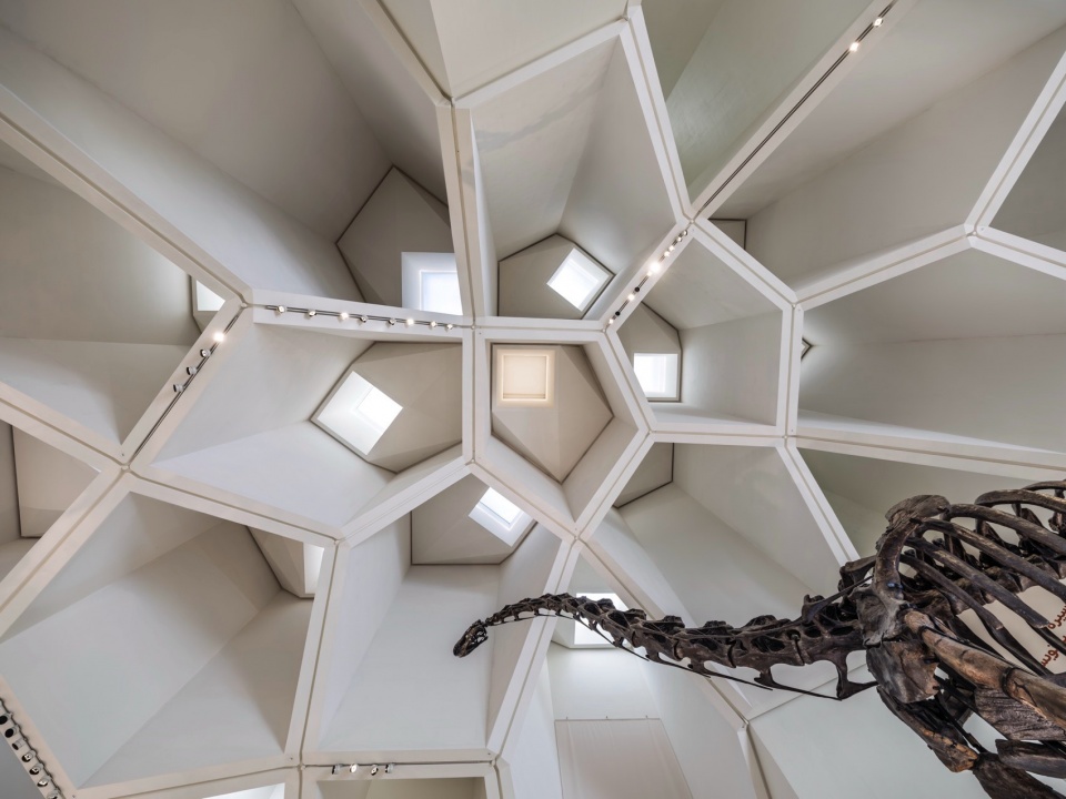 Natural History Museum Abu Dhabi by Mecanoo