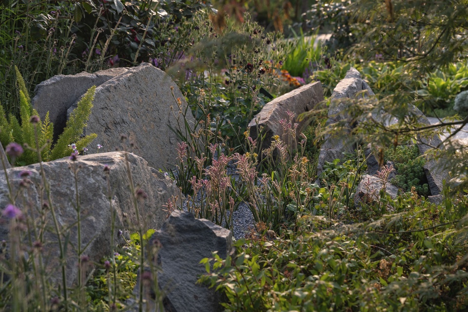 Shenzhen Garden for the 2024 Chengdu International Horticultural Expo
