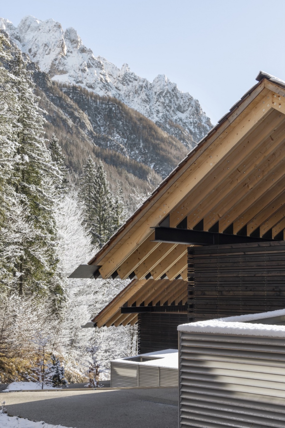 TWIN ALPINE HOUSES