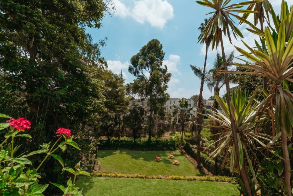 Celine Lolo by Powerhouse Company