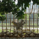 枯木寮，惠州 / 广州向内建筑工作室
