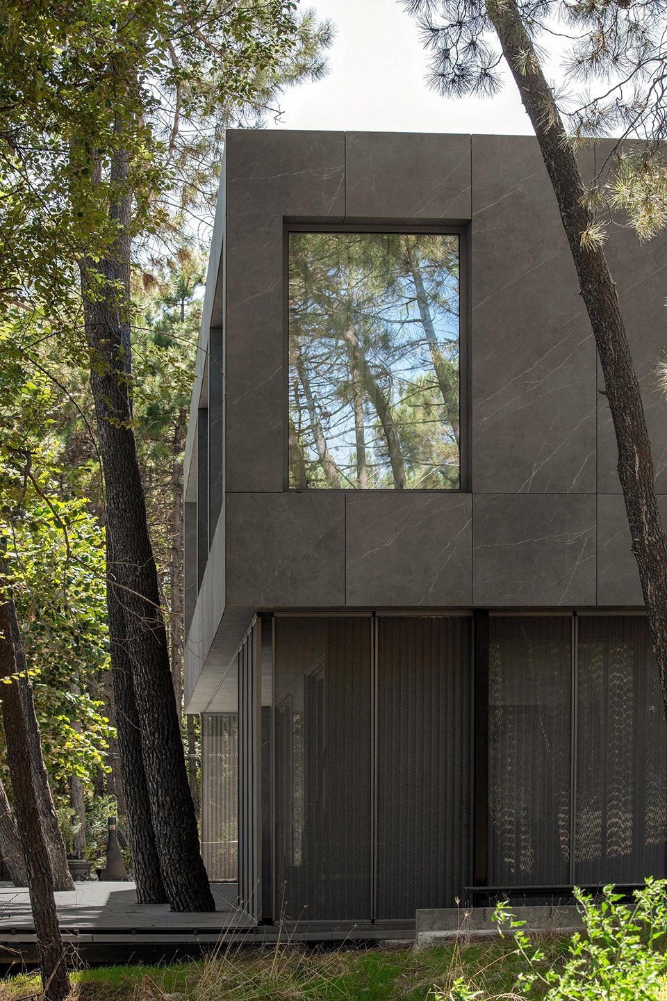 pine house by starh