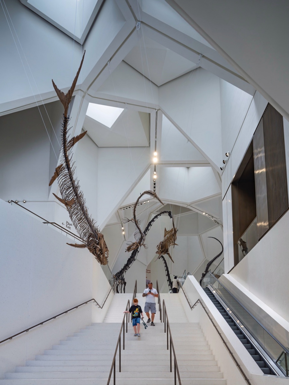 Natural History Museum Abu Dhabi by Mecanoo