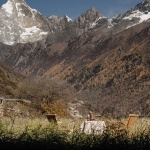 Ruoshui Mountain Residence, Siguniang Mountain by Much Modest Collect Design