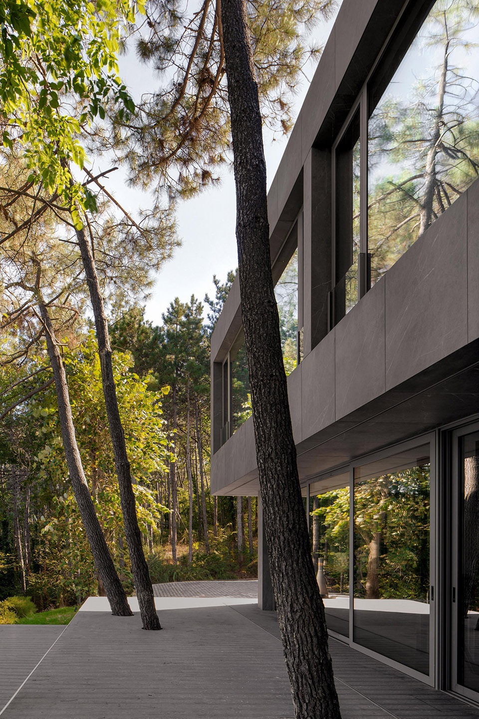 pine house by starh
