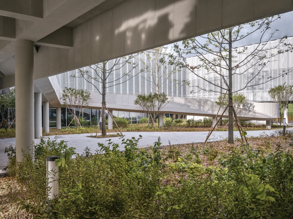 care and wellness center for the elderly and people with disabilities by sol89 woodrock architecs
