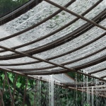 枯木寮，惠州 / 广州向内建筑工作室