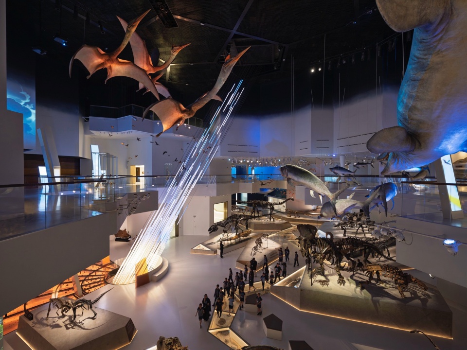 Natural History Museum Abu Dhabi by Mecanoo