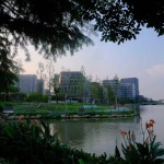 大东江软件谷滨河公共空间再生，宁波 / 易莫兰迪生态景观设计