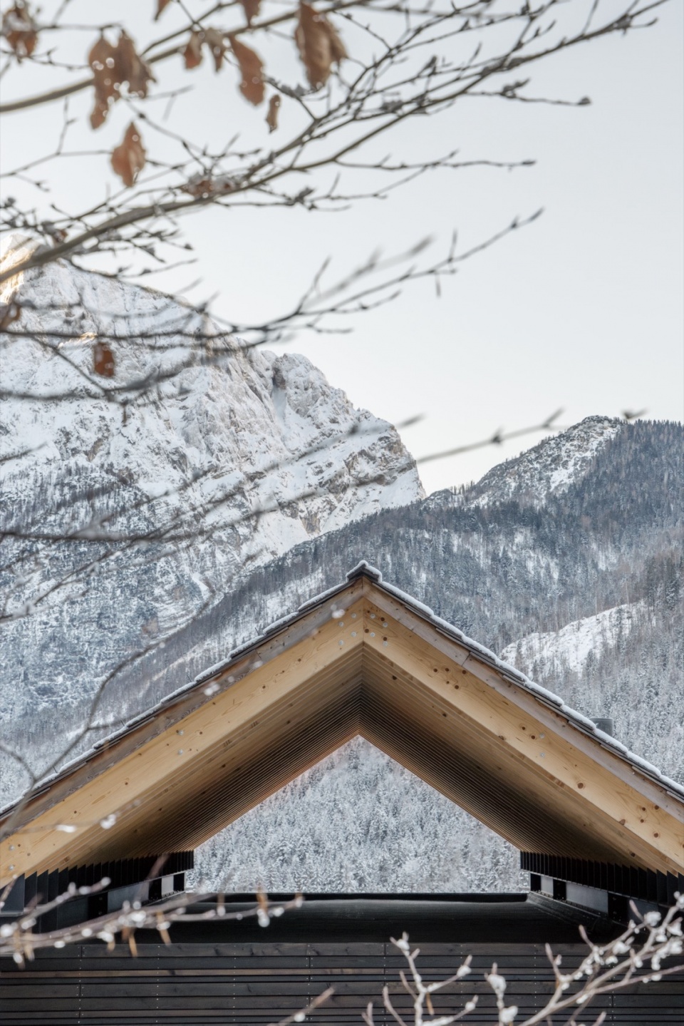 TWIN ALPINE HOUSES
