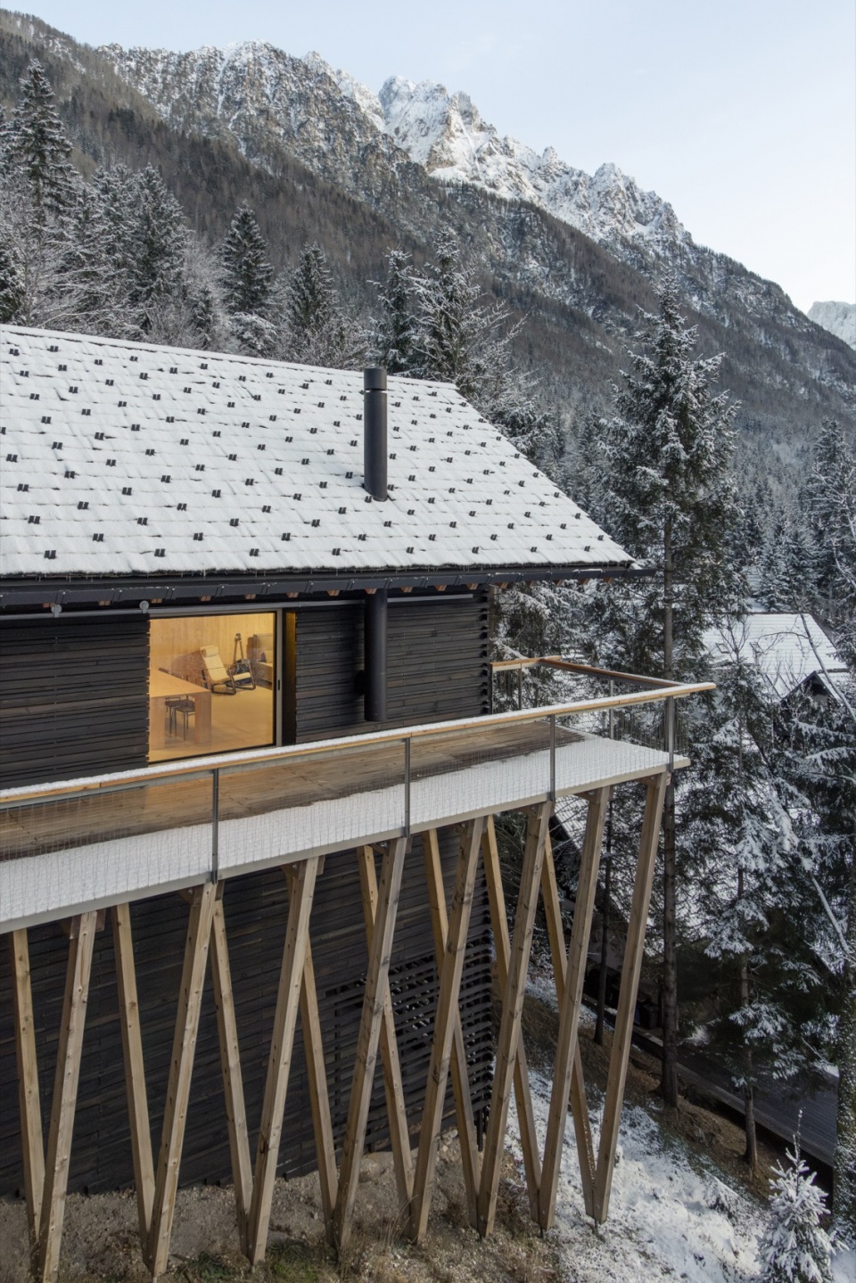 TWIN ALPINE HOUSES