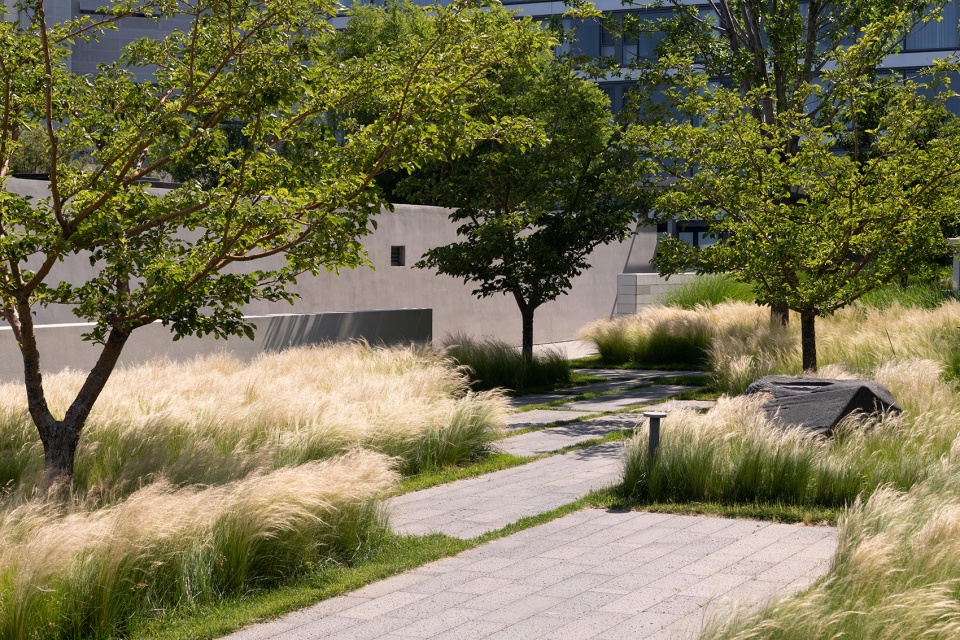 aranya sea mirror garden by zscape