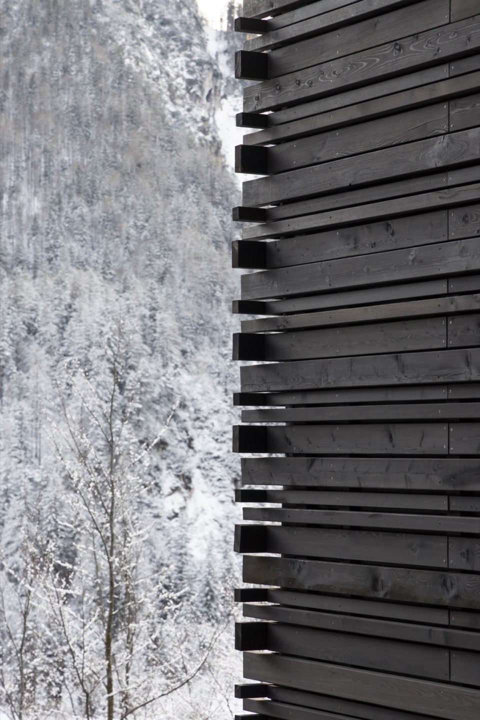 TWIN ALPINE HOUSES