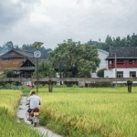 春芽书屋，湖南怀化 / 拙建筑