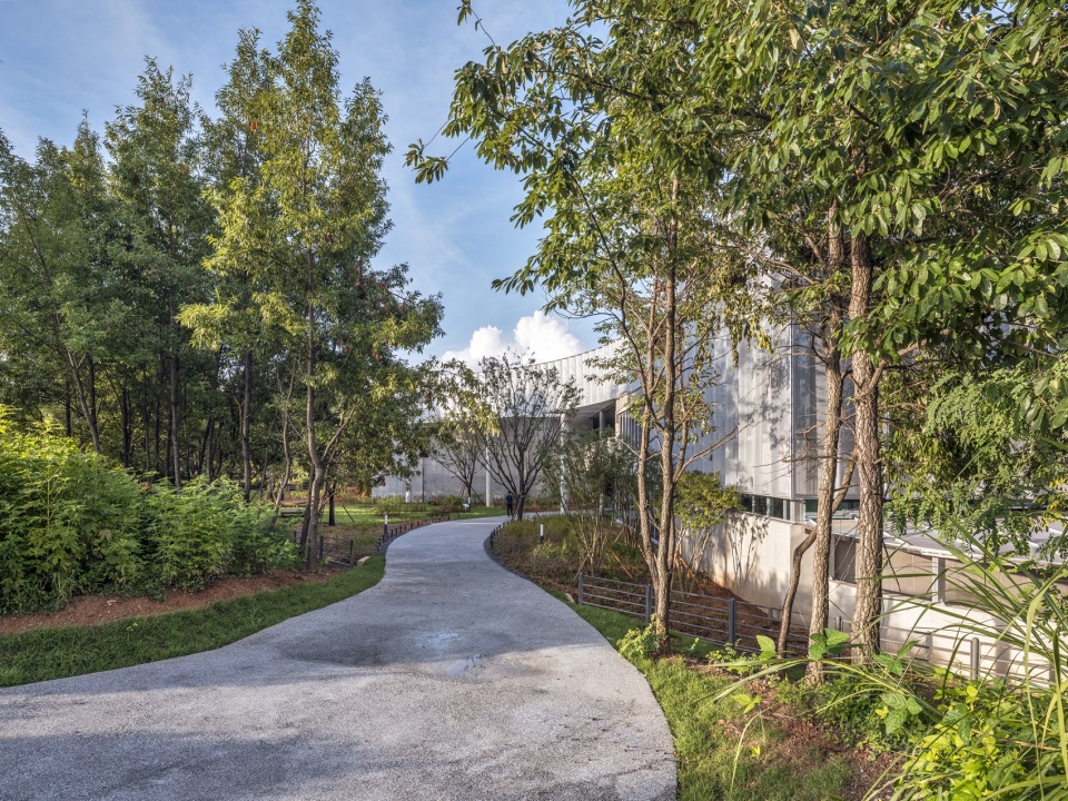 care and wellness center for the elderly and people with disabilities by sol89 woodrock architecs