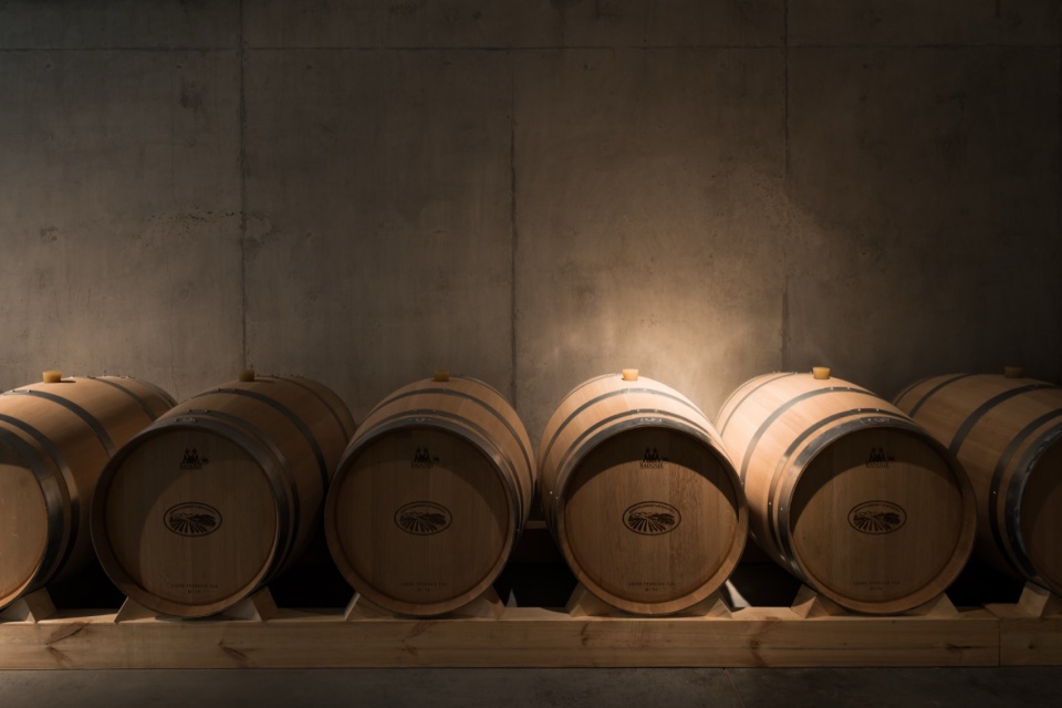 gai kodzor winery by kleinewelt architekten