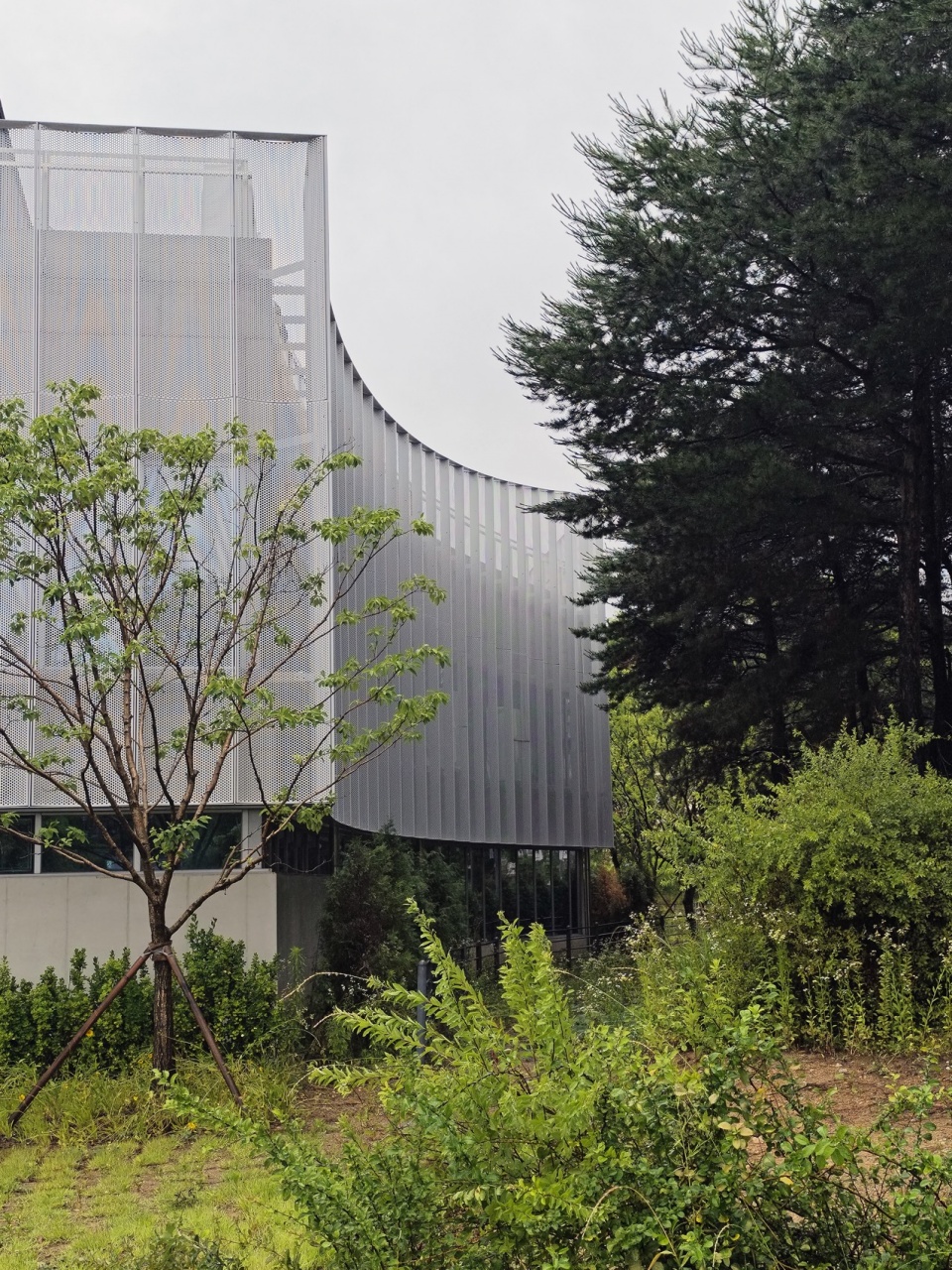 care and wellness center for the elderly and people with disabilities by sol89 woodrock architecs