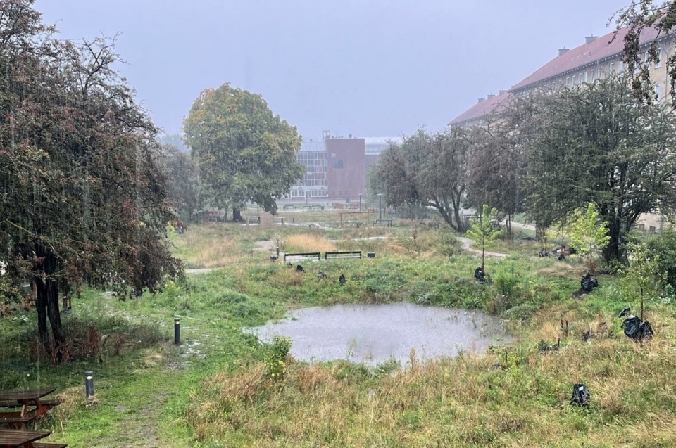 Gronningen Bispeparken by SLA