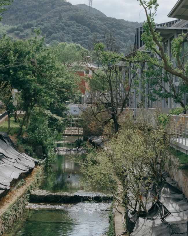 easel bridge by xbtw office