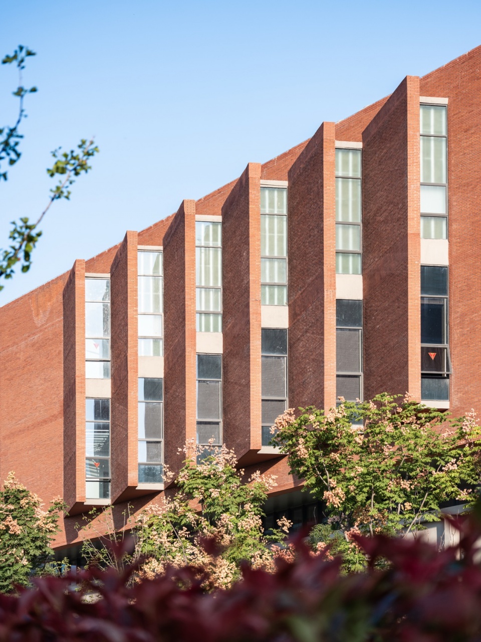 the academic building for network center computer science big data and microelectronics