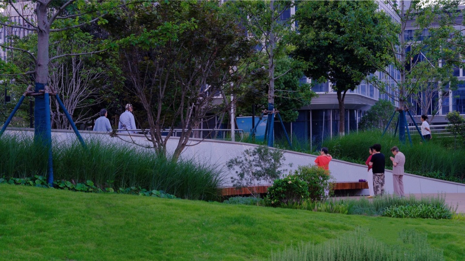 Riverside Landscape Design of Green Belts on Both Sides of Dadongjiang