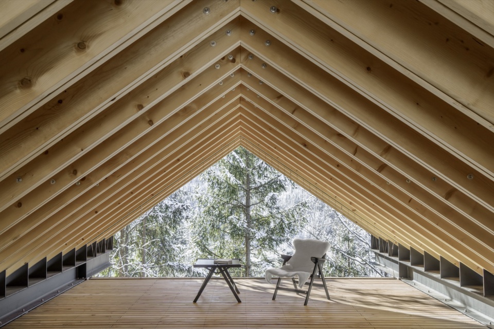 TWIN ALPINE HOUSES