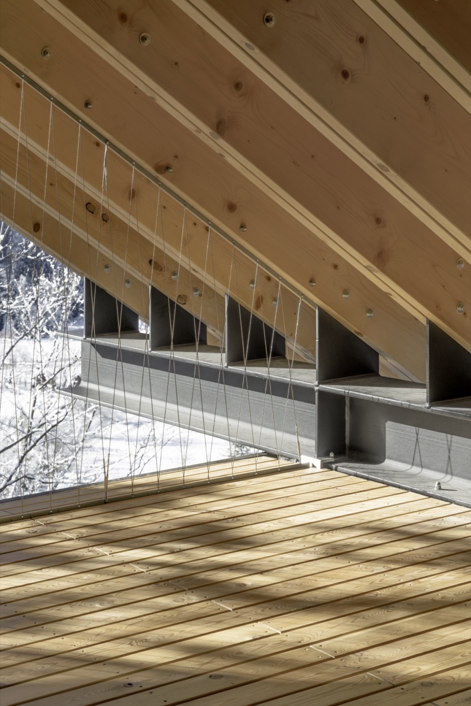 TWIN ALPINE HOUSES