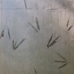 曲水餐厅，阳朔 / 郭廖辉工作室