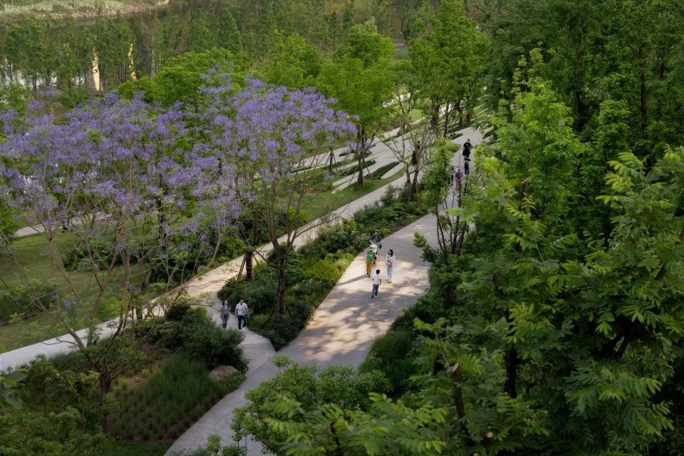 DreamWeaver Park by Z T STUDIO