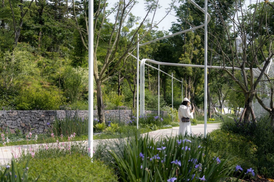 DreamWeaver Park by Z T STUDIO
