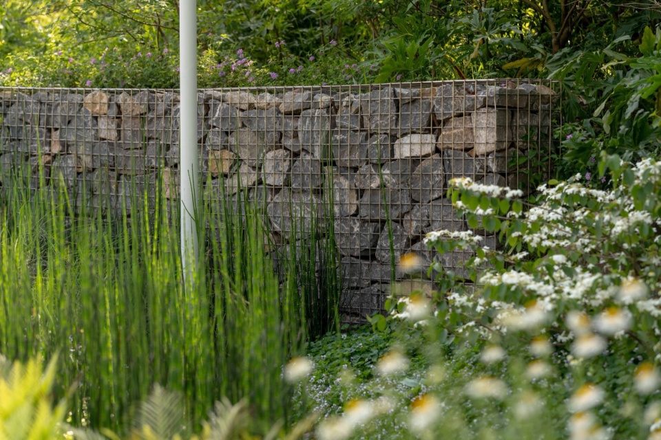 DreamWeaver Park by Z T STUDIO