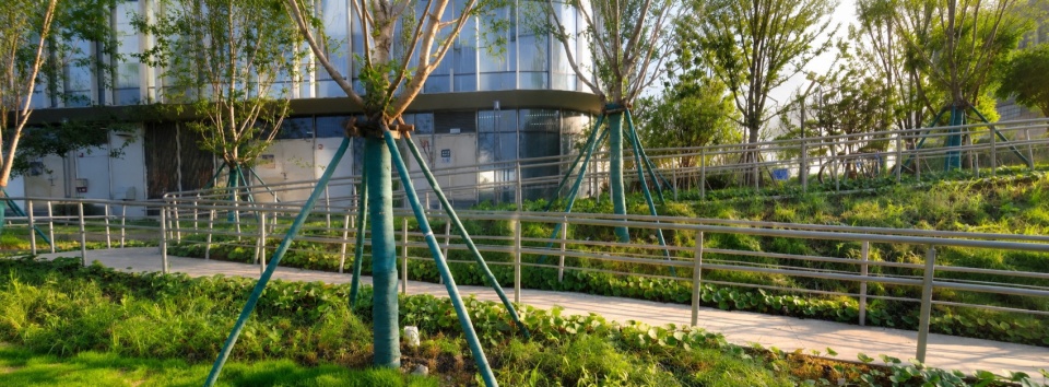 Riverside Landscape Design of Green Belts on Both Sides of Dadongjiang