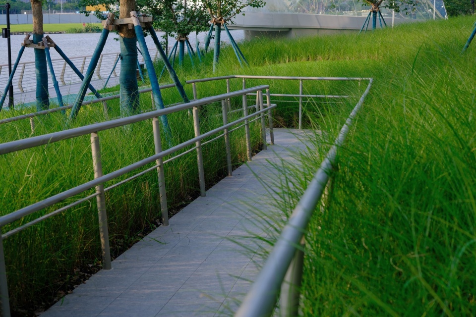 Riverside Landscape Design of Green Belts on Both Sides of Dadongjiang